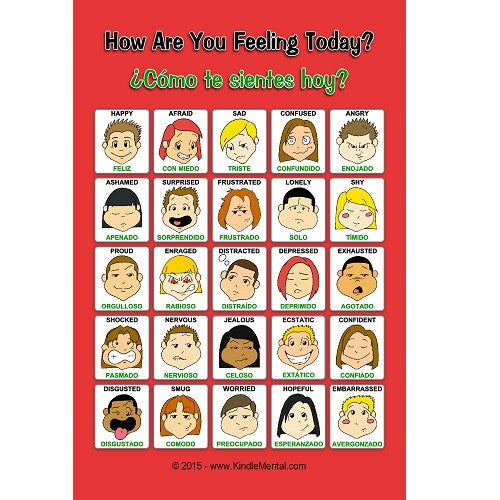 Mini Bilingual Feelings Poster, with Graphics - Set of 12