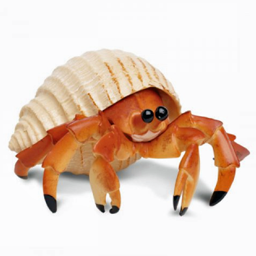 Hermit Crab – ChildTherapyToys