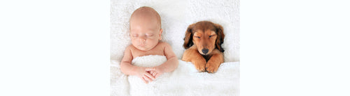 Helping Children Adapt to The Arrival of A Sibling