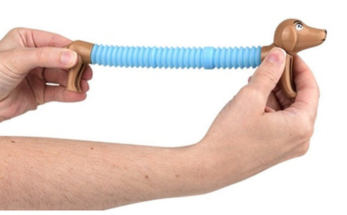 Dachshund Fidget Pop Tube