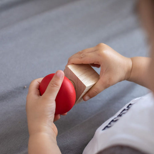 Wooden Nuts & Bolts Toy Set