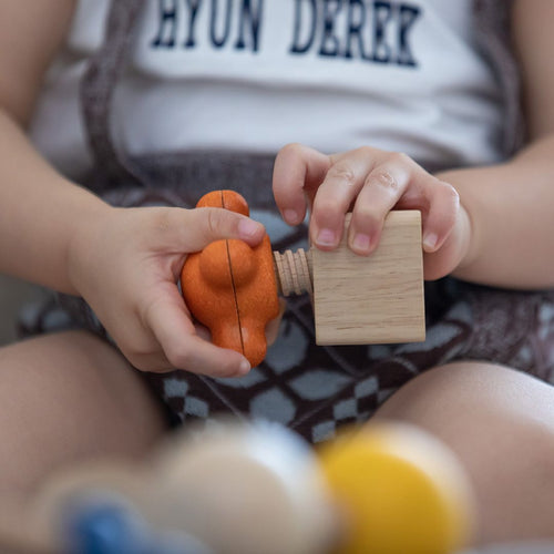 Wooden Nuts & Bolts Toy Set