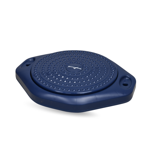 Stand & Twist Rotating Disk for Elementary/Middle/High School Kids