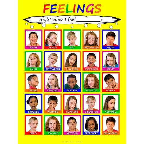Poster laminato dei sentimenti dei bambini 18 x 24 pollici