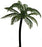Palm Tree (Set of 4)
