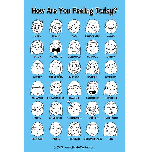 Mini Feelings Poster, with Graphics - Set of 12