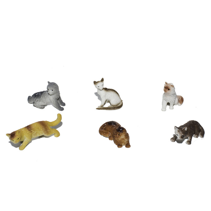 Kittens & Cats (set of 6)
