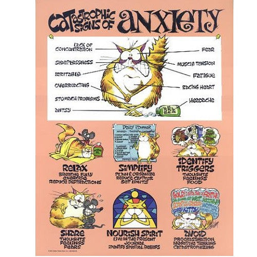 Catastrophic Signs of Anxiety Poster