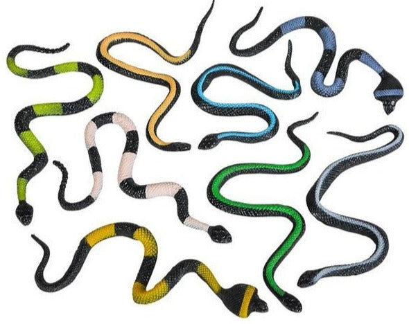Snakes, 8 Inch (Set of 12)