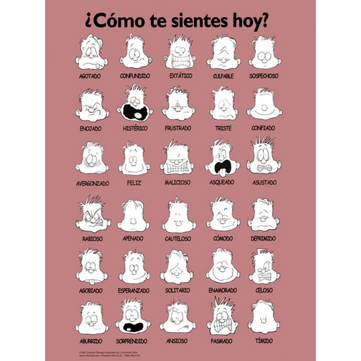 Afiche de sentimientos - plastificado en español